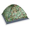 4 Persons Camping Waterproof Tent Pop Up Tent Instant Setup Tent w/2 Mosquito Net Doors Carrying Bag Folding 4 Seasons